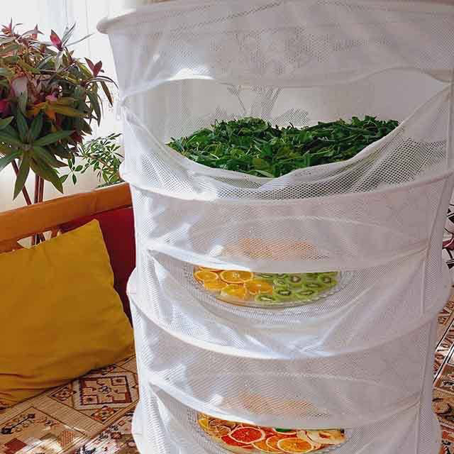 توری سبزی و میوه خشکن