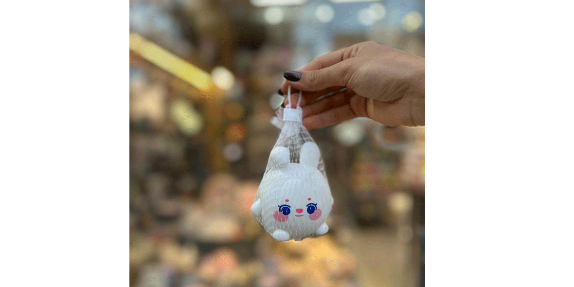 اسکوئیشی 2431